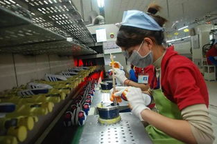 400億美元投資注入，柬埔寨住宿服務(wù)業(yè)迎巨變